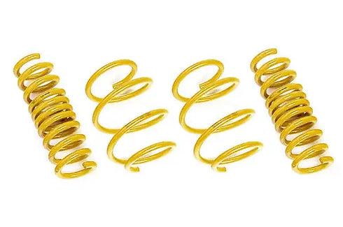 AST Lowering Springs for 2018+ Trackhawk