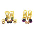 KW Height Adjustable Spring System 12-22 Dodge Challenger 3.6L V6 / 5.7L V8 / 6.4L